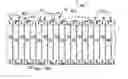 Fig. 01 - Array frame design for electrified vehicle battery arrays