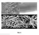Fig. 04 - Lithiated transition metal oxides