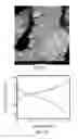 Fig. 13 - Lithiated transition metal oxides