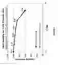 Fig. 09 - Apparatus and method for processing battery electrodes