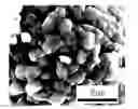 Fig. 01 - Cathode active material, lithium secondary battery having same, and method for preparing same
