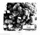 Fig. 03 - Cathode active material, lithium secondary battery having same, and method for preparing same