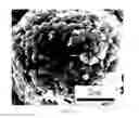 Fig. 04 - Cathode active material, lithium secondary battery having same, and method for preparing same
