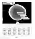 Fig. 08 - Cathode active material, lithium secondary battery having same, and method for preparing same