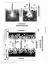 Fig. 11 - Nanostructured carbon electrode, methods of fabricating and applications of the same