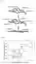 Fig. 02 - Conductive carbon, electrode material including said conductive carbon, and electrode using said electrode material