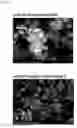 Fig. 12 - Conductive carbon, electrode material including said conductive carbon, and electrode using said electrode material