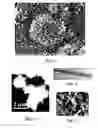 Fig. 05 - Positive electrode including discrete aluminum oxide nanomaterials and method for forming aluminum oxide nanomaterials