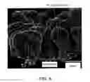 Fig. 05 - Membrane electrode assembly and electrochemical cell