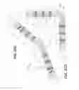 Fig. 23 - Bend radius adapters and methods of forming same