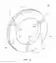 Fig. 09 - Current Diverter Ring