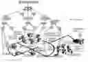 Fig. 01 - System, method, and apparatus for electric power grid and network management of grid elements
