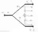 Fig. 01 - High isolation power combiner/splitter and coupler