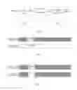 Fig. 03 - Apparatus and method for determining transmission direction of secondary carrier