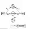 Fig. 01 - BANDWIDTH EFFICIENT COOPERATIVE TWO-WAY AMPLIFY-AND- FORWARD RELAYING  METHOD