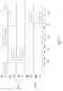 Fig. 04 - Efficient uplink SDMA operation
