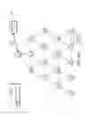 Fig. 16 - Detecting oscillation anomalies in a mesh network using machine learning