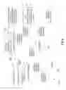 Fig. 07 - Customized browser images