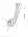 Fig. 46 - Endoscope with pannable camera and related method