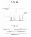 Fig. 05 - Image capturing apparatus comprising a plurality of processing circuits for correcting defective pixel by using information of defective pixel detected in different frames and control method for the same