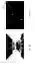 Fig. 12 - Image analysis system and method