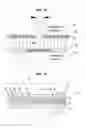 Fig. 07 - Modulator for stereoscopic image device and stereoscopic image device using same