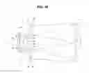 Fig. 10 - Modulator for stereoscopic image device and stereoscopic image device using same