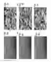 Fig. 05 - Macroblock partitioning and motion estimation using object analysis for video compression