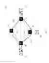 Fig. 02 - OSPFTE extension to support GMPLS for flexible grid