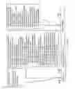 Fig. 20 - Mobile communications network, infrastructure equipment, mobile communications terminal and method