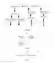 Fig. 08 - DATA TRANSMISSION METHOD, DEVICE, AND SYSTEM IN MULTIPLE USER COOPERATIVE COMMUNICATION SCENARIO