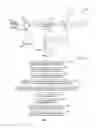 Fig. 02 - Application specific internet access