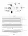 Fig. 02 - Synchronization method, synchronization appratus, and base station