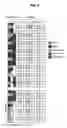 Fig. 06 - Method, apparatus, and system for channel access in unlicensed band