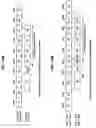 Fig. 17 - Method, apparatus, and system for channel access in unlicensed band