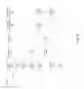 Fig. 07 - Methods and device for authorization between a customer device and connectivity manager