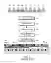 Fig. 05 - Transmission of scheduling assignments in multiple operating bandwidths