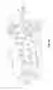 Fig. 05 - Low voltage lighting power supply systems and methods