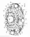 Fig. 04 - Sound responsive lighting system
