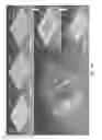 Fig. 08 - Fabrication of flexible electronic devices