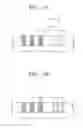 Fig. 19 - Display device and method of manufacturing window member