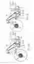 Fig. 09 - Compact tillage implement with independent rank adjustment
