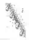 Fig. 06 - CUTTER BAR HAVING A SCISSOR WITH DOUBLE RECIPROCATING MOTION