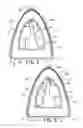 Fig. 03 - PET CABANA