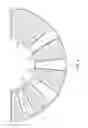 Fig. 05 - Adjustable protective animal collar