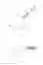 Fig. 02 - Ball-throwing scoop for interaction with pet