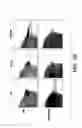 Fig. 03 - NOVEL GERM CELL ABLATION COMPOUNDS AND USES THEREOF
