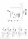 Fig. 07 - NOVEL GERM CELL ABLATION COMPOUNDS AND USES THEREOF