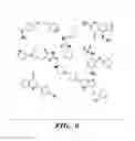Fig. 11 - NOVEL GERM CELL ABLATION COMPOUNDS AND USES THEREOF