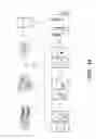 Fig. 18 - NOVEL GERM CELL ABLATION COMPOUNDS AND USES THEREOF